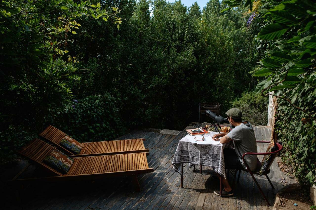 Casa Agricola Da Levada Eco Village فيلا ريال المظهر الخارجي الصورة